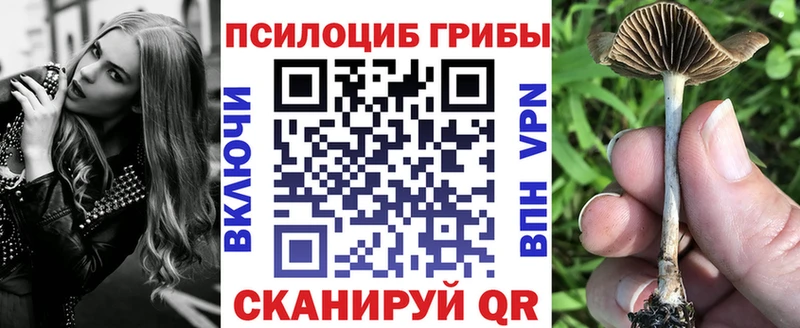 Псилоцибиновые грибы Magic Shrooms  купить  сайты  Гурьевск 